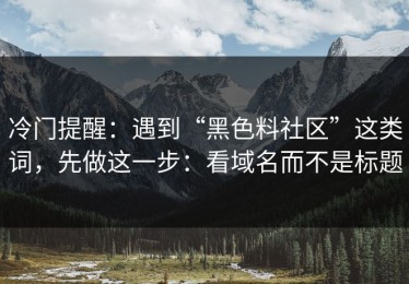 冷门提醒：遇到“黑色料社区”这类词，先做这一步：看域名而不是标题
