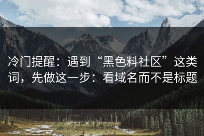 冷门提醒：遇到“黑色料社区”这类词，先做这一步：看域名而不是标题