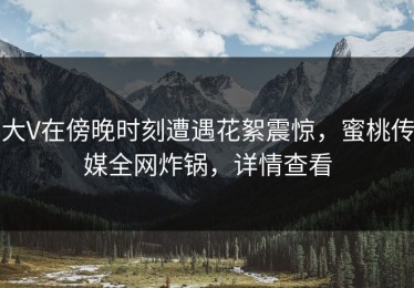 大V在傍晚时刻遭遇花絮震惊，蜜桃传媒全网炸锅，详情查看