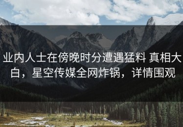 业内人士在傍晚时分遭遇猛料 真相大白，星空传媒全网炸锅，详情围观