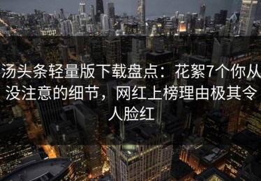 汤头条轻量版下载盘点：花絮7个你从没注意的细节，网红上榜理由极其令人脸红