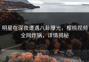 明星在深夜遭遇八卦曝光，樱桃视频全网炸锅，详情揭秘