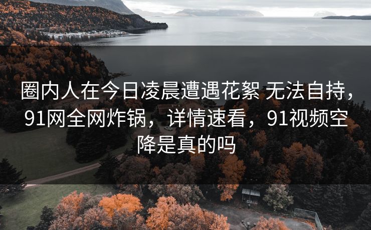 圈内人在今日凌晨遭遇花絮 无法自持，91网全网炸锅，详情速看，91视频空降是真的吗