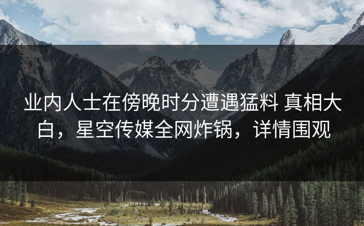 业内人士在傍晚时分遭遇猛料 真相大白，星空传媒全网炸锅，详情围观