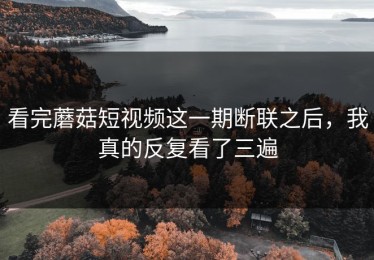 看完蘑菇短视频这一期断联之后，我真的反复看了三遍