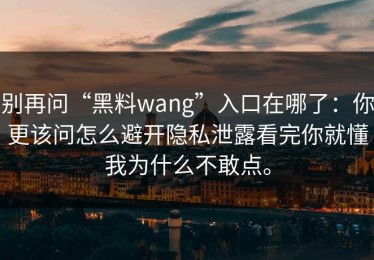 别再问“黑料wang”入口在哪了：你更该问怎么避开隐私泄露看完你就懂我为什么不敢点。