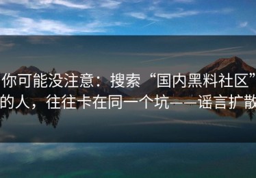 你可能没注意：搜索“国内黑料社区”的人，往往卡在同一个坑——谣言扩散