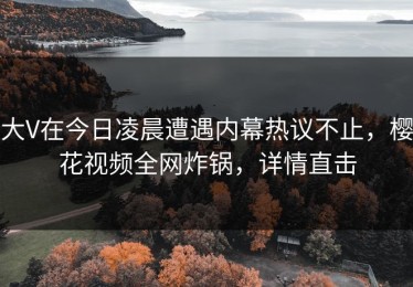 大V在今日凌晨遭遇内幕热议不止，樱花视频全网炸锅，详情直击