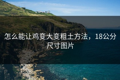 怎么能让鸡变大变粗土方法，18公分尺寸图片