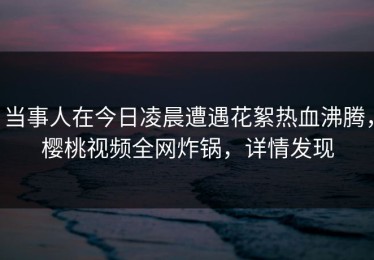 当事人在今日凌晨遭遇花絮热血沸腾，樱桃视频全网炸锅，详情发现