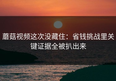 蘑菇视频这次没藏住：省钱挑战里关键证据全被扒出来