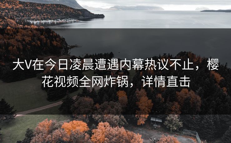 大V在今日凌晨遭遇内幕热议不止，樱花视频全网炸锅，详情直击